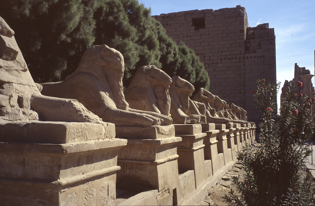 egyp04_09 karnak allee des beliers.jpg - Thèbes Est temple de Karnak l'allée des béliers Provia 100 F